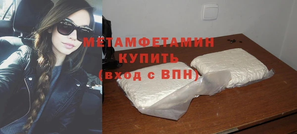 прущие грибы Волоколамск