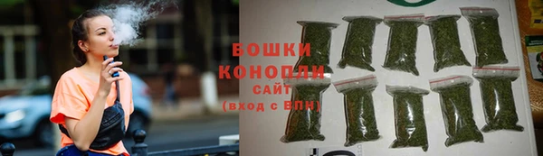 прущие грибы Волоколамск