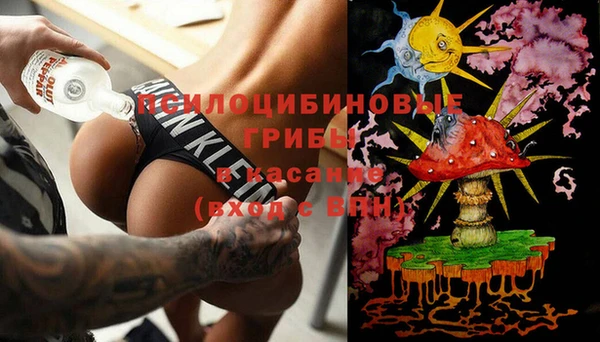 прущие грибы Волоколамск