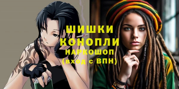 прущие грибы Волоколамск
