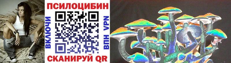 Купить Межгорье Галлюциногенные грибы прущие грибы